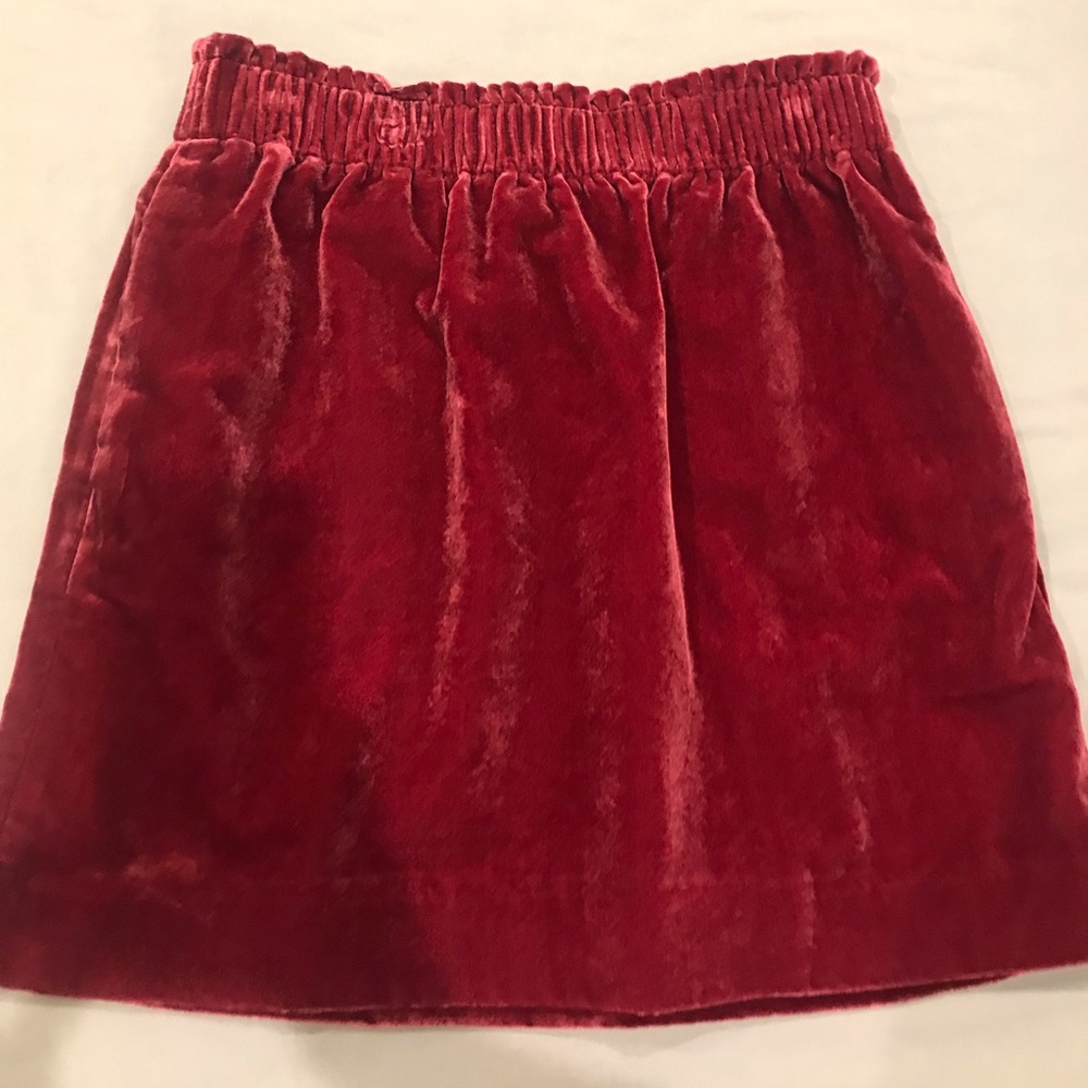 JCrew Favtory Velvet Skirt